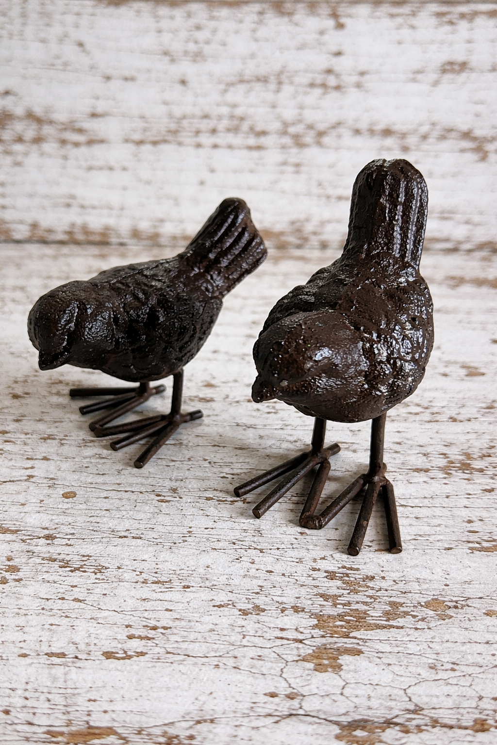 Brass Chicks