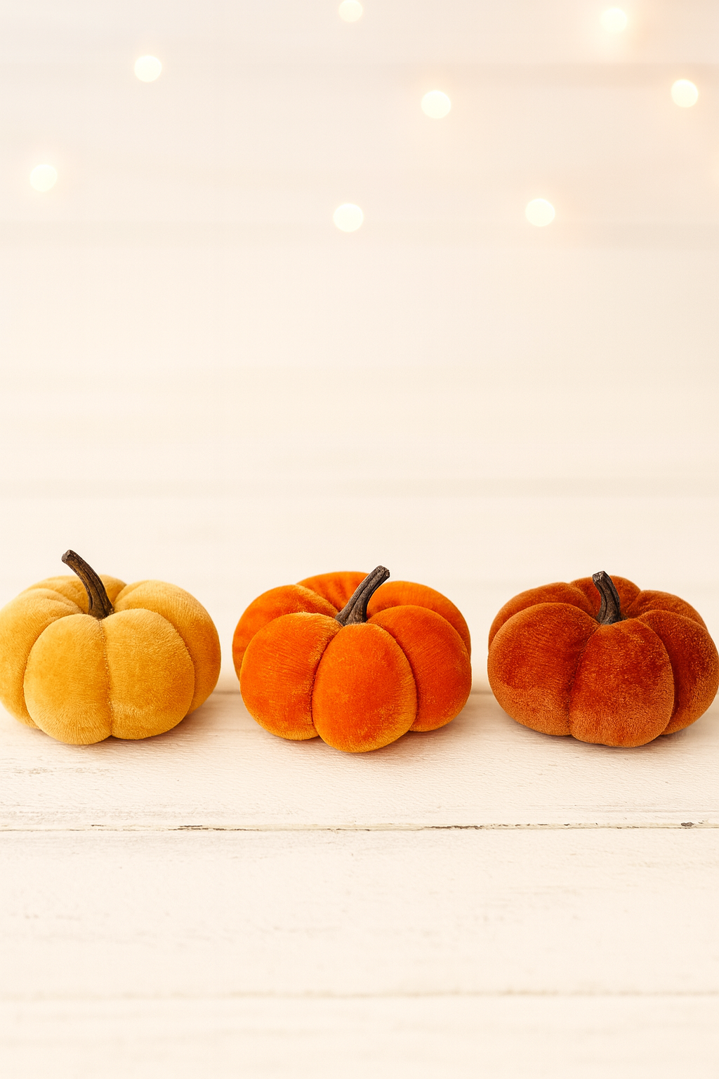 Harvest Hues Velvet
