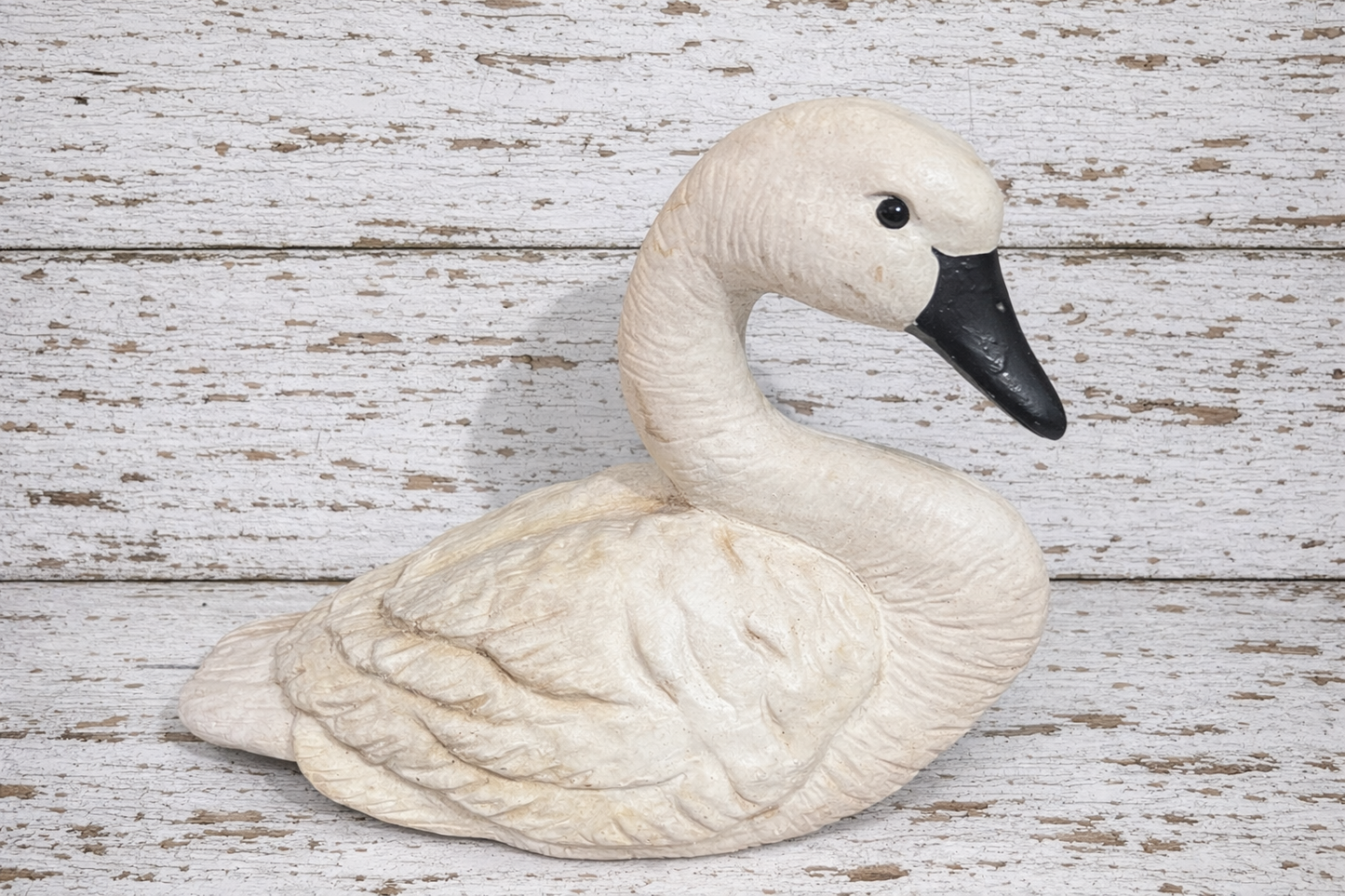 Large White Swan