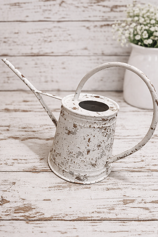 Metal Chippy Watering Can