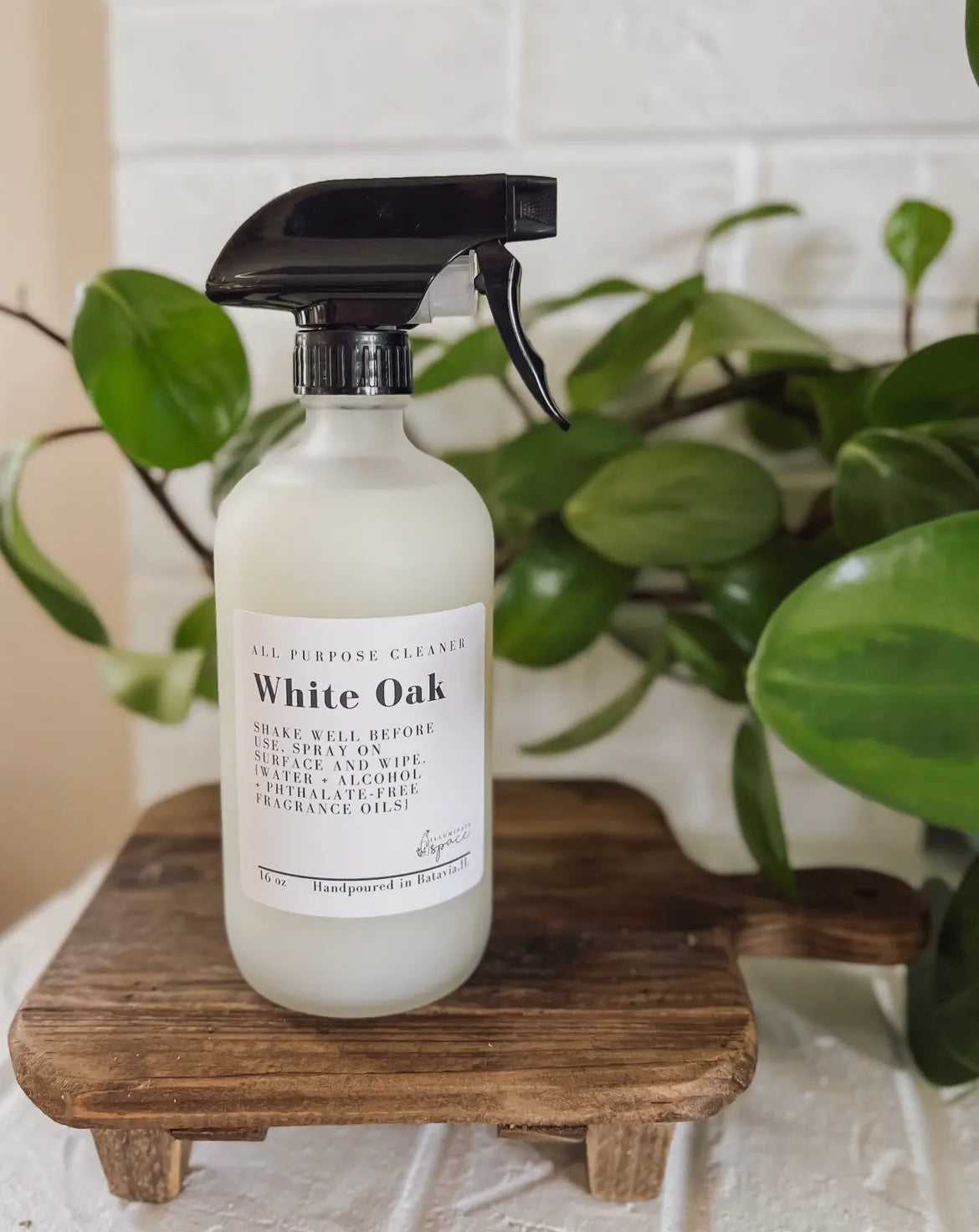 All Purpose Cleaner- Just Add Water