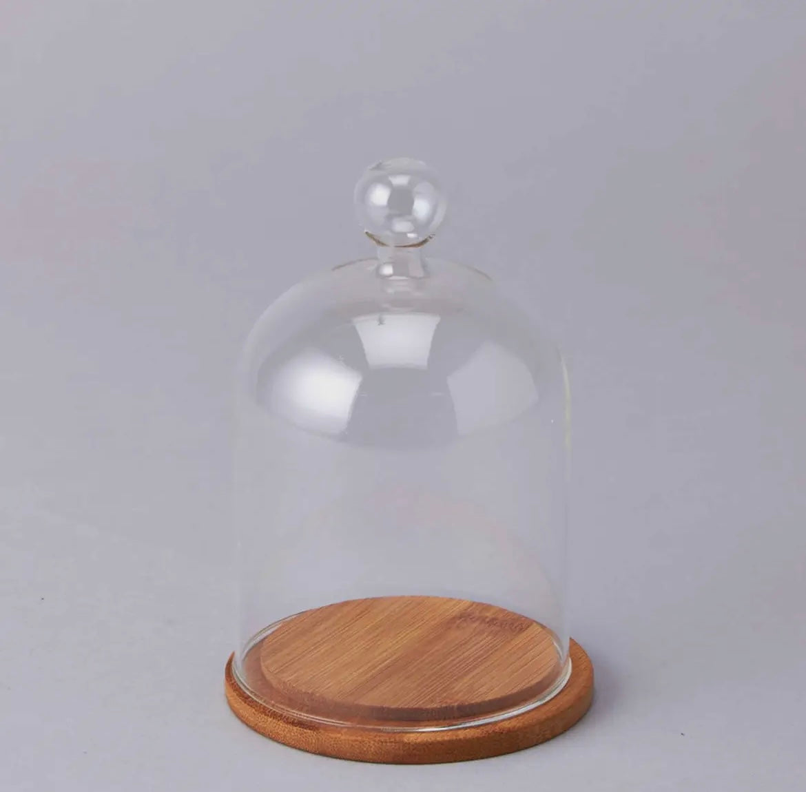 Glass Cloche with Wood Base