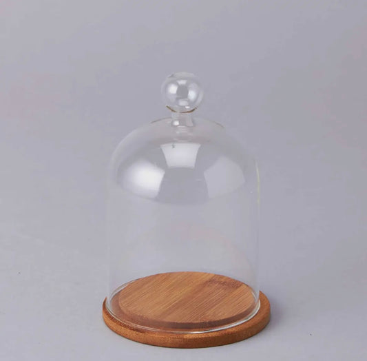 Glass Cloche with Wood Base
