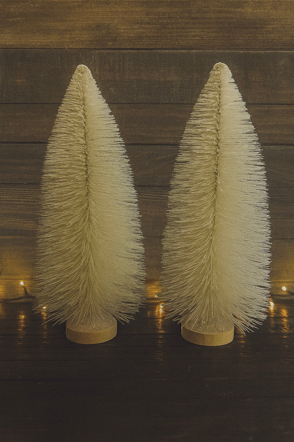 Bottle Brush Cream Tree