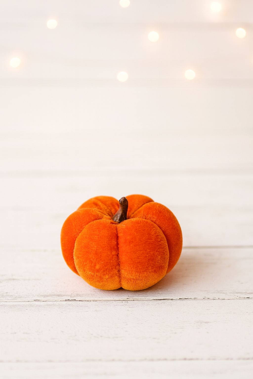 Harvest Hues Velvet