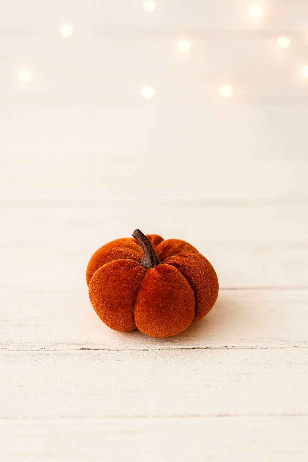 Harvest Hues Velvet