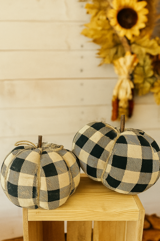 Black & Cream Checked Pumpkins