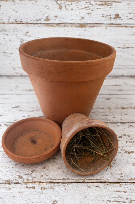 Terracotta Pots